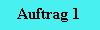 Zu den Seiten des Auftraggebers